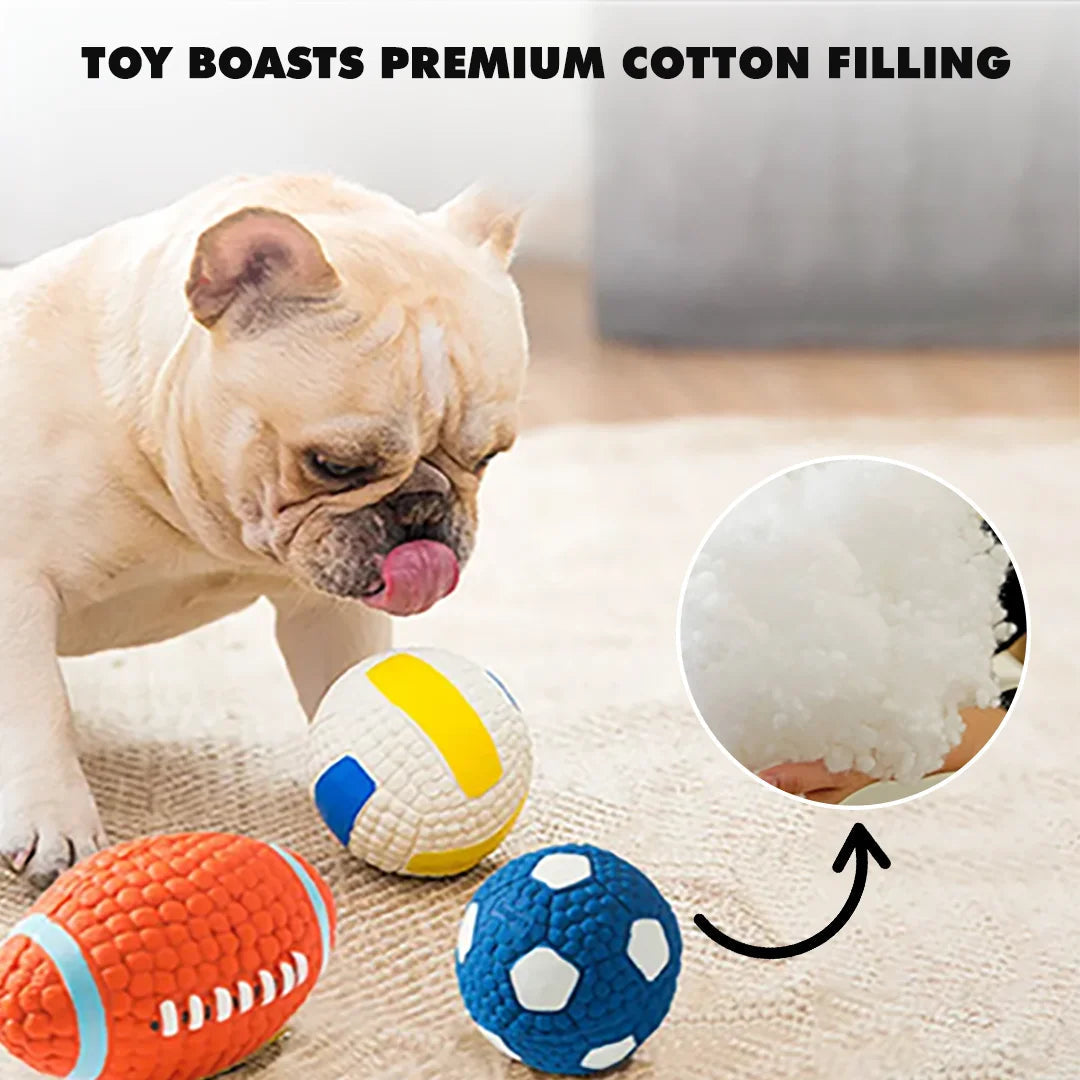 Pet Chewing Toy